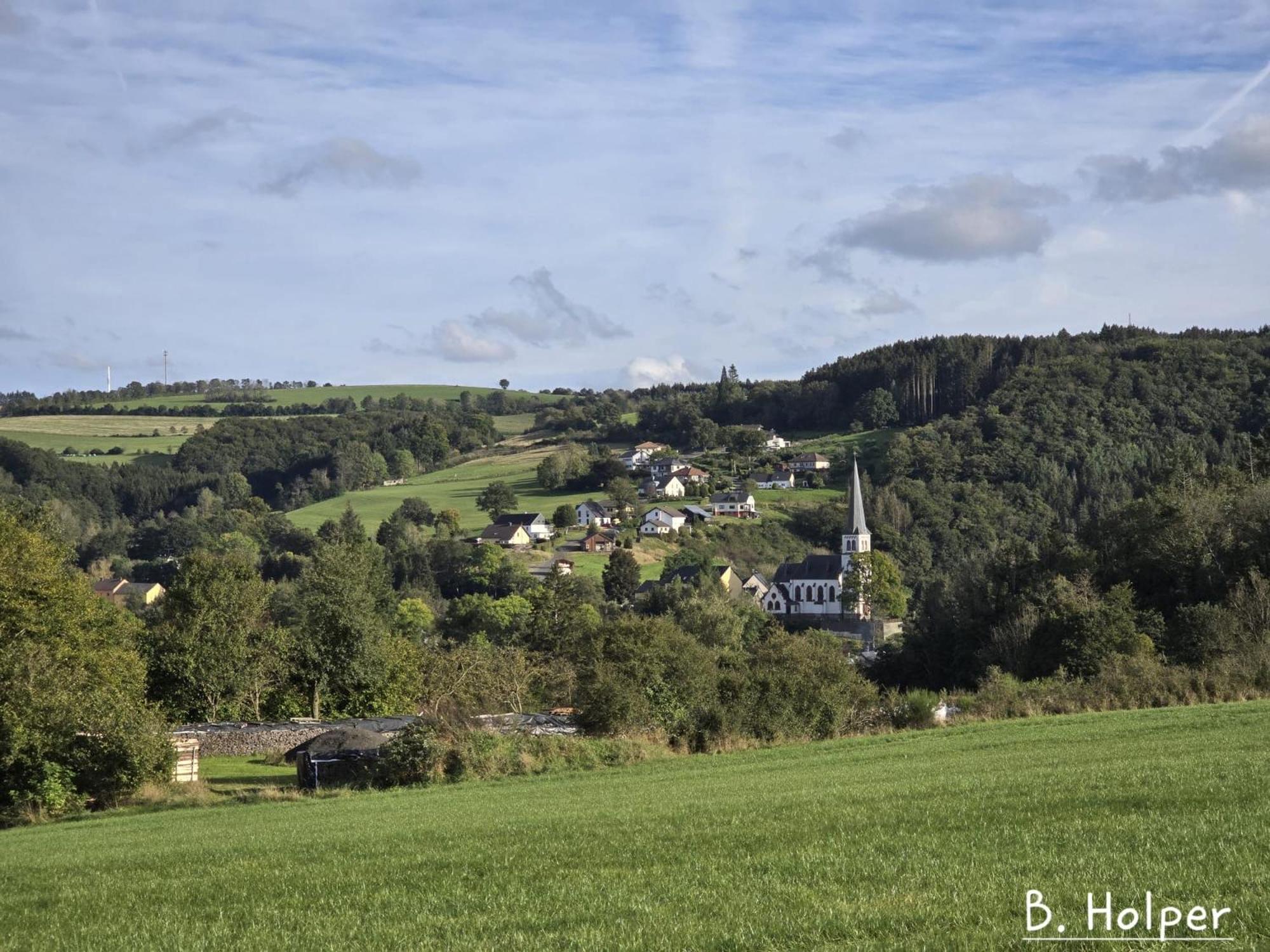Restaurant - Pension Im Pfenn Irrhausen Exteriér fotografie